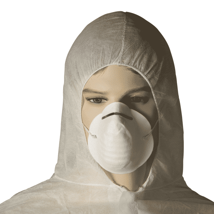 Dustmask Disposable